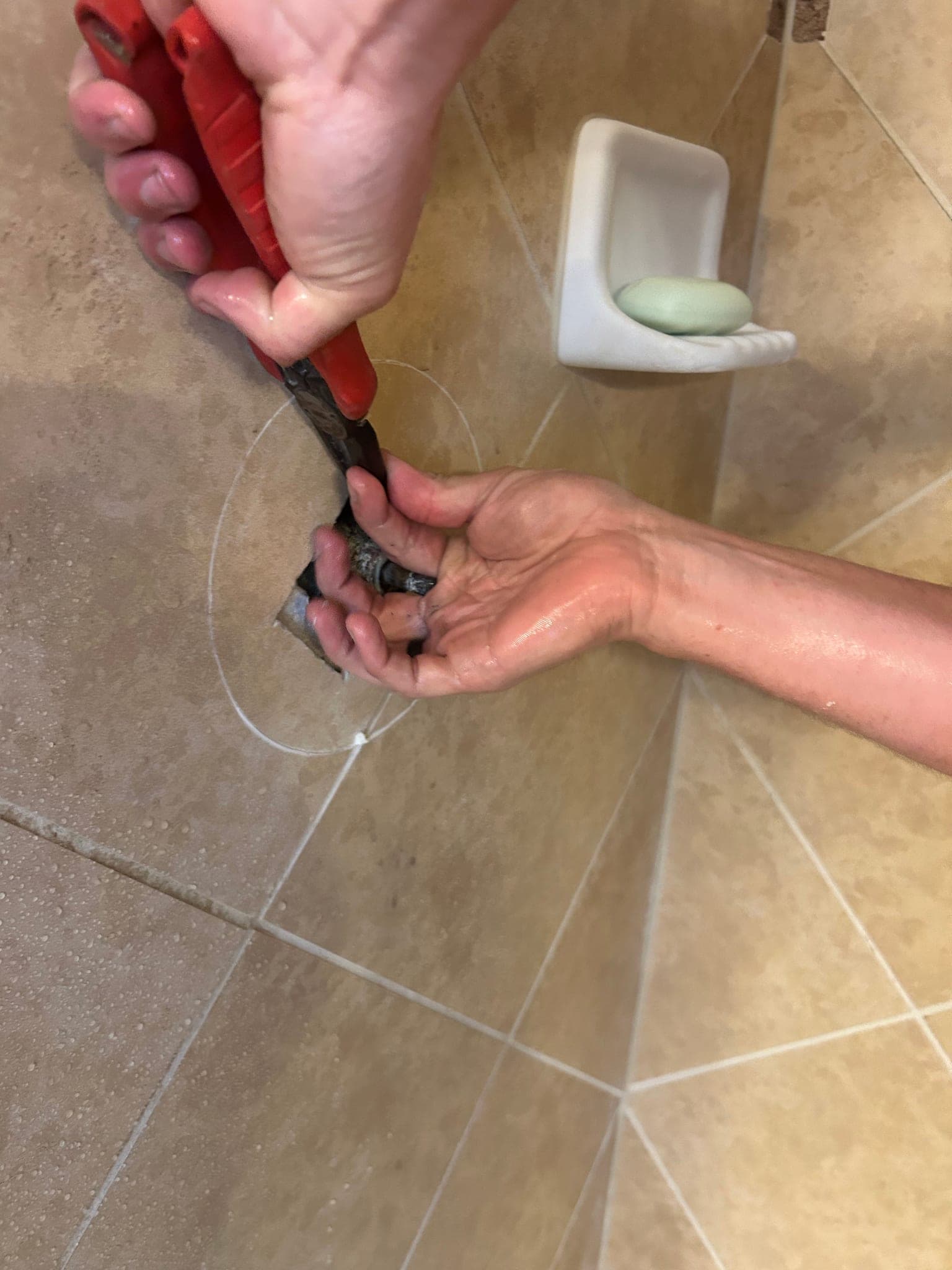 Moen Shower and Sink Cartridge Replacement in Fate, TX