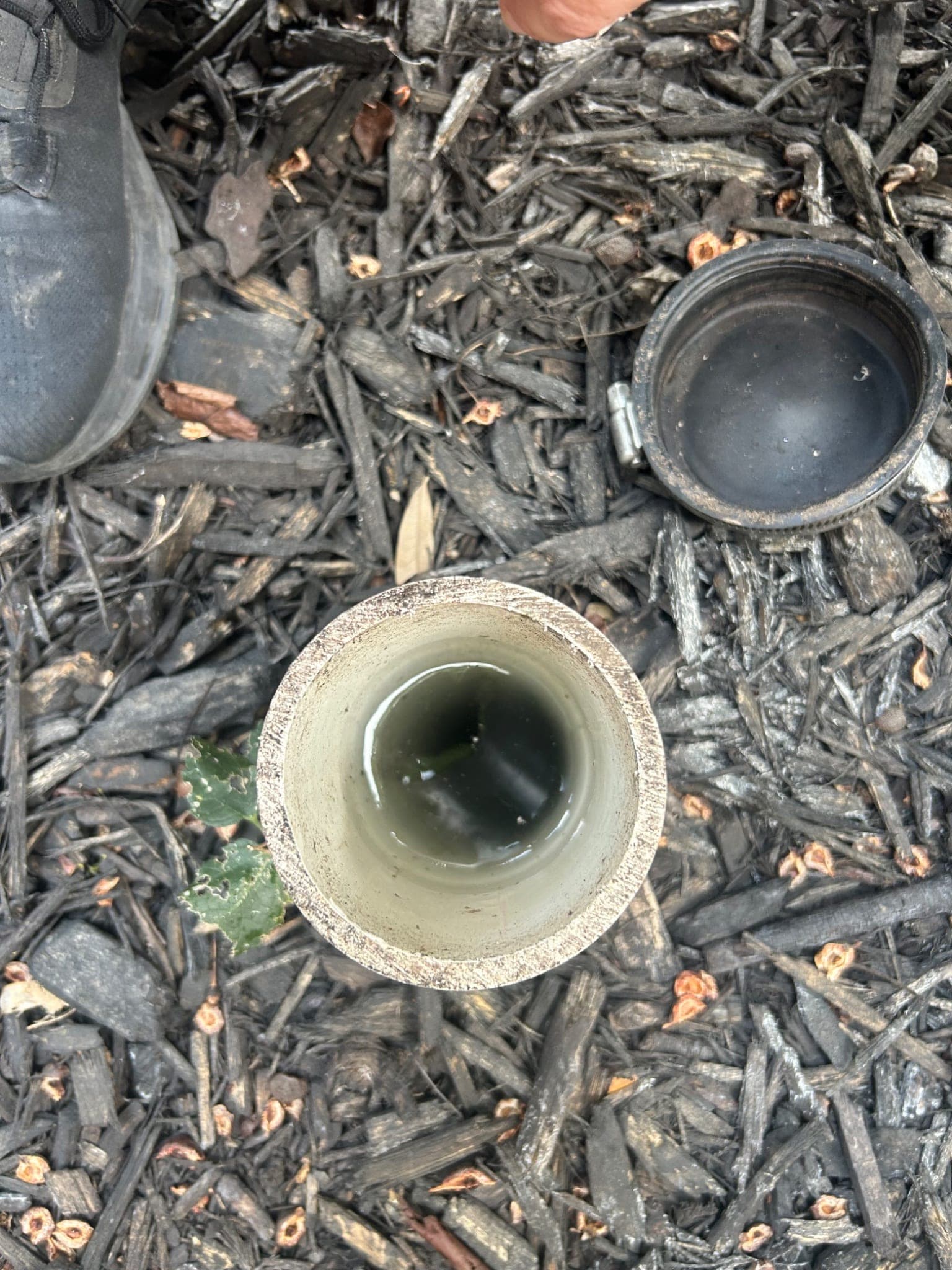 Main Line Sewer Repair in Plano, TX