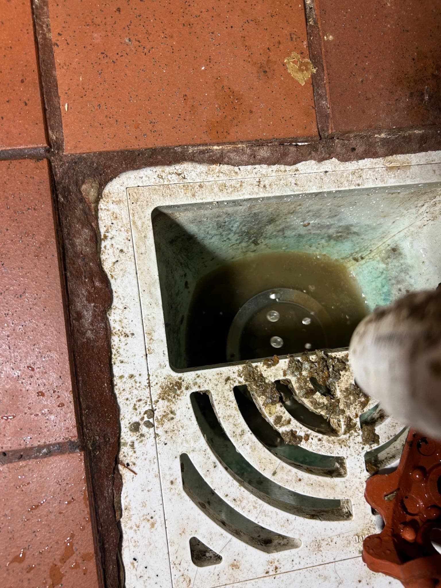 Commercial Plumbing Service Call in Rowlett, TX