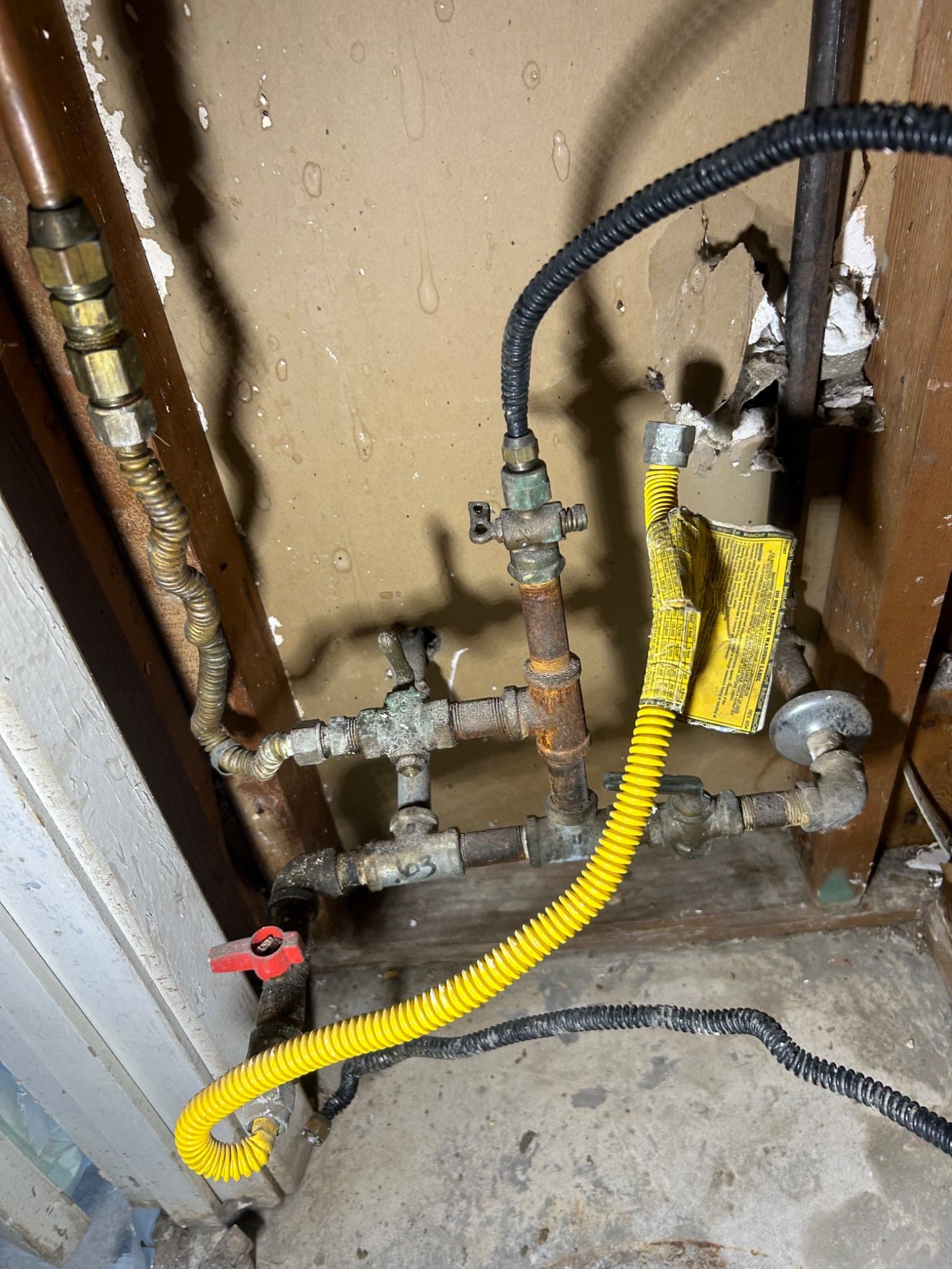 Residential Plumbing Service Call in Rockwall, TX