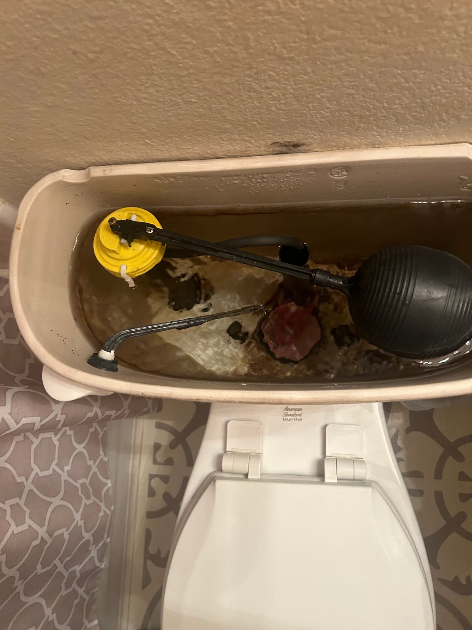 Bathroom Faucet Installation in Allen, TX