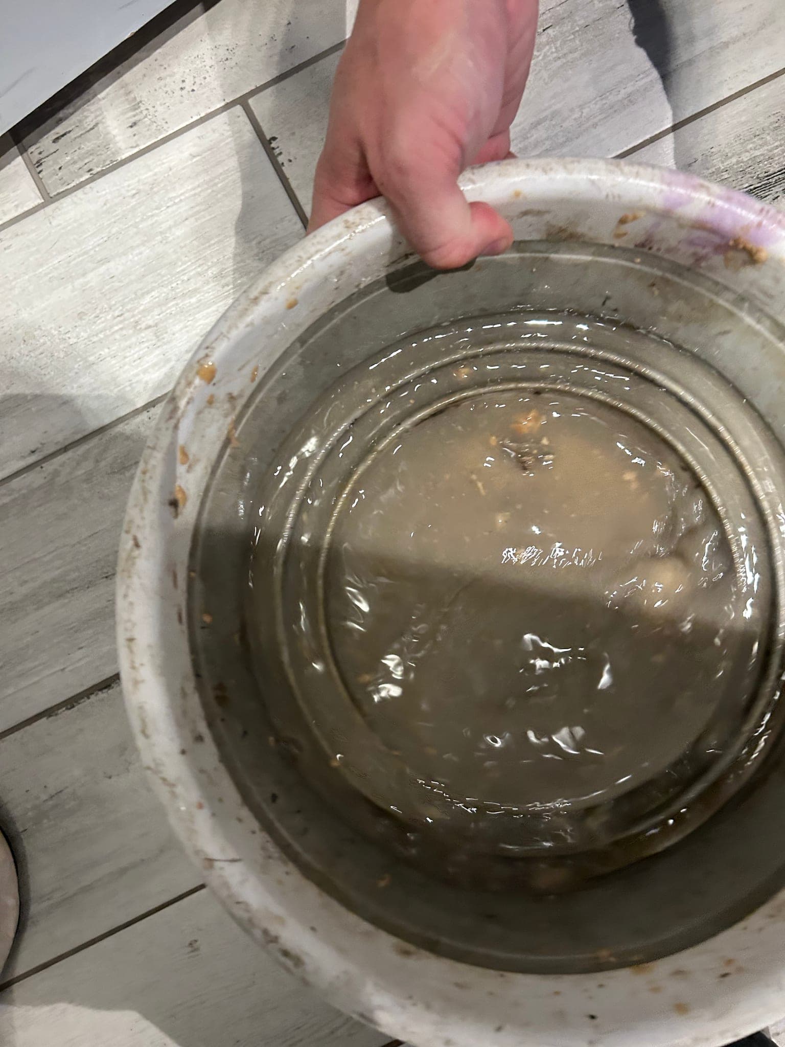 Bathroom Drain Trap Cleaning in Rockwall, TX