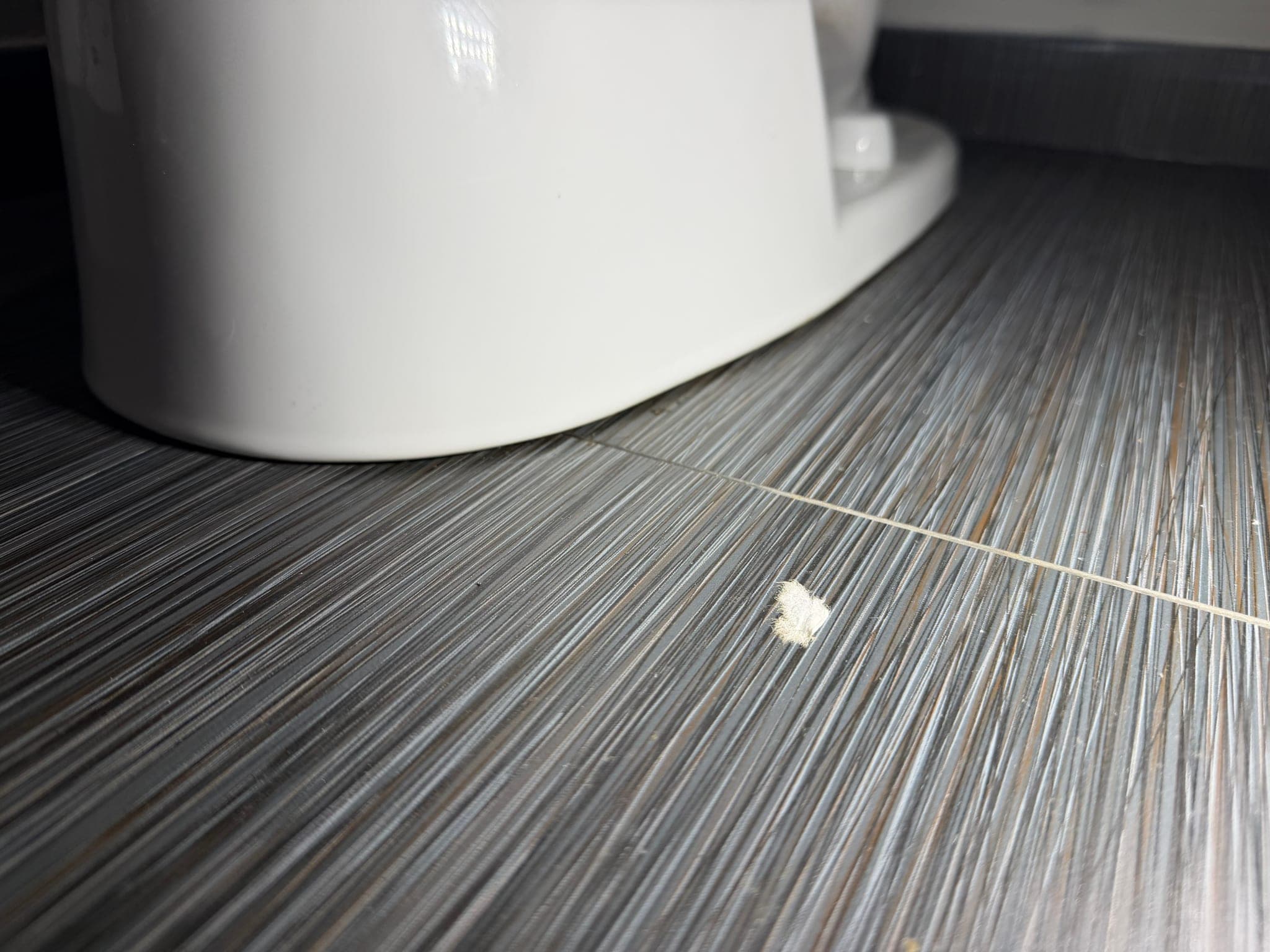 Toilet Flange Repair and Reset in Dallas, TX
