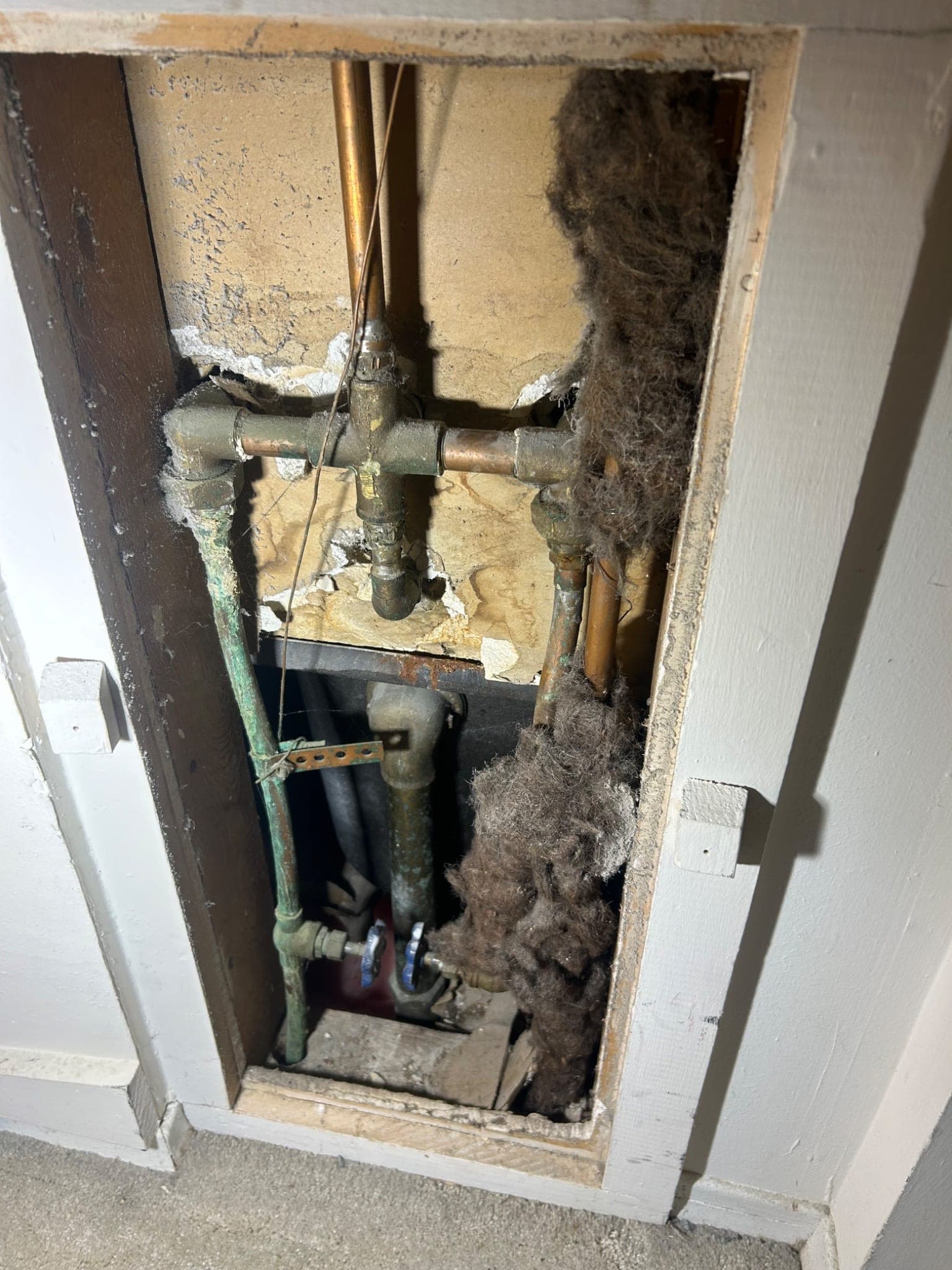 Residential Plumbing Inspection with Leaking Shower Repair in Dallas, TX